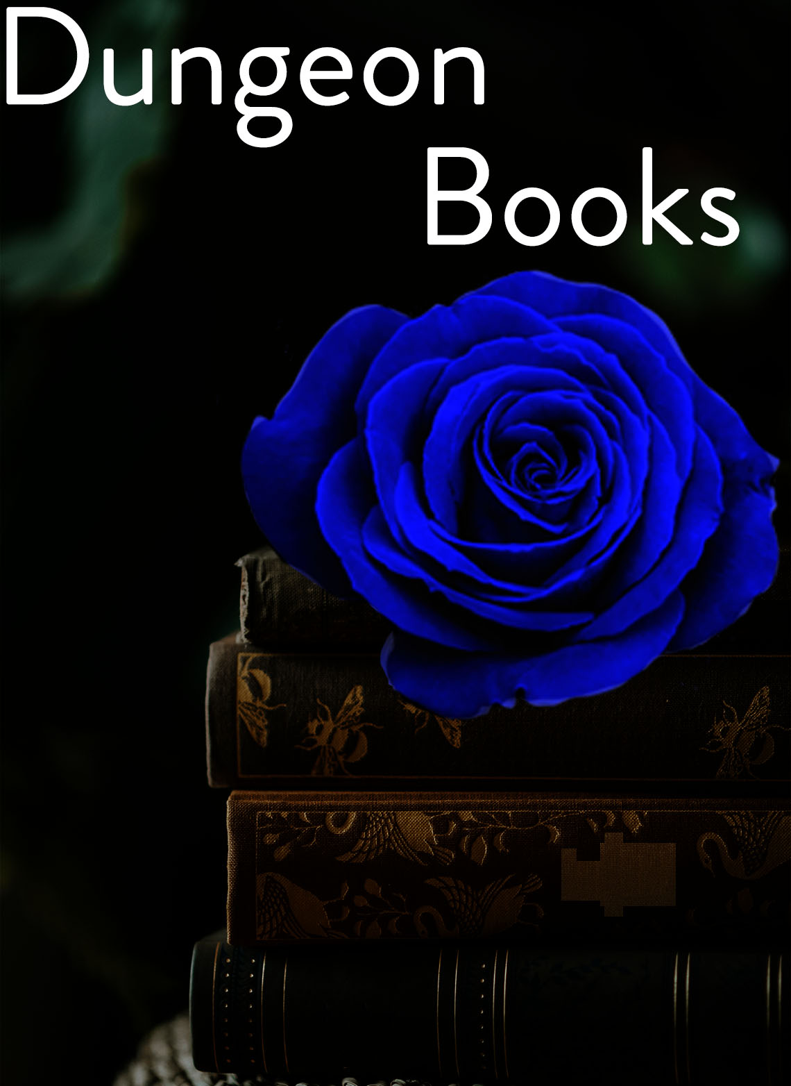 Dungeon Books